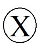 Бусины с буквами белые круглые X